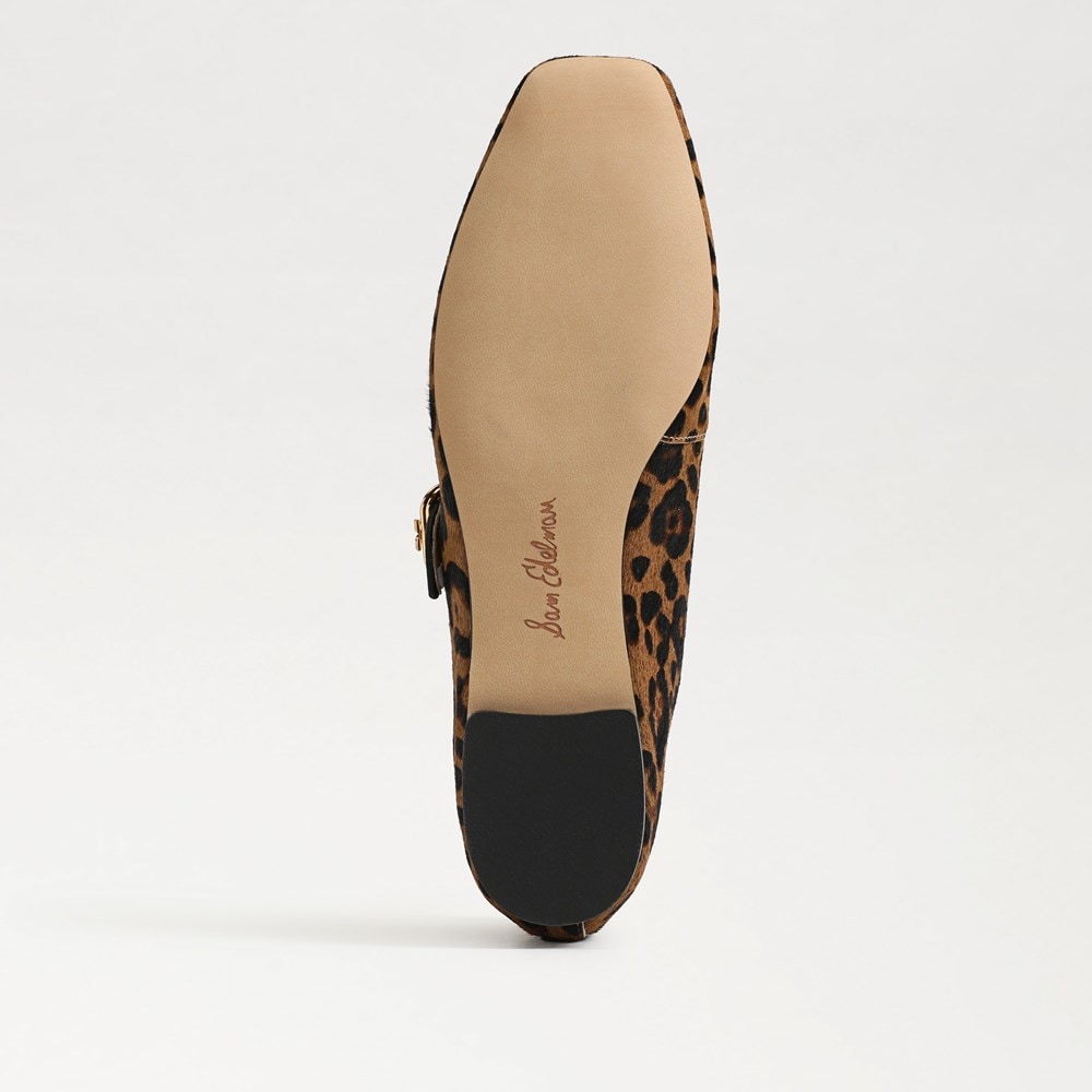 Sam fashion edelman bernice sandal leopard