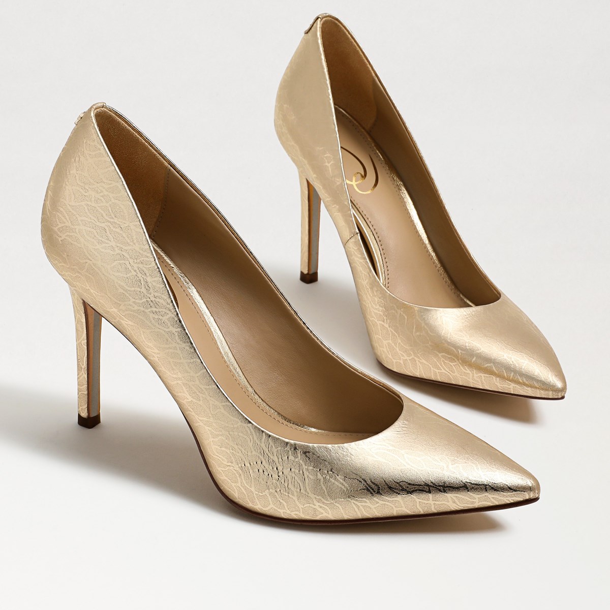 Sam Edelman Hazel Pointed Toe Pump | Women's Heels