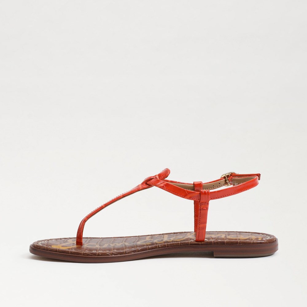 Sam edelman best sale elisha thong sandal